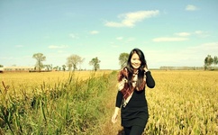 寂寞夜晚看的MV字幕高清网站